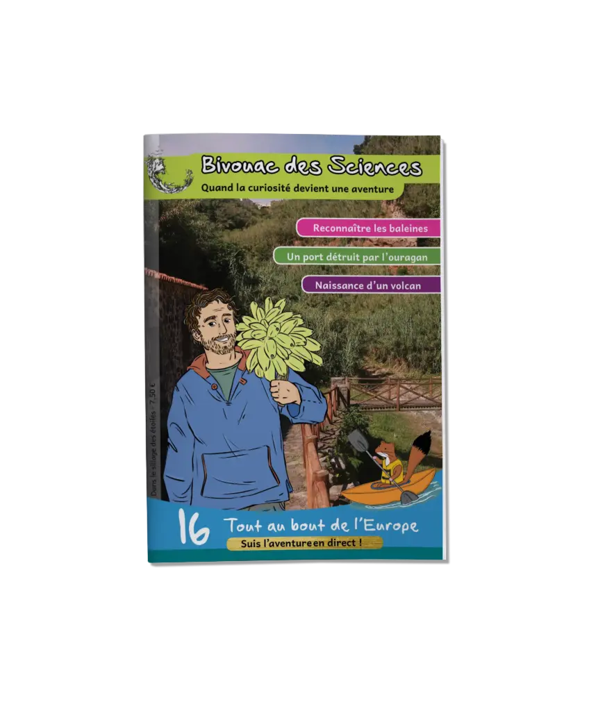 Mag Découverte - Unité