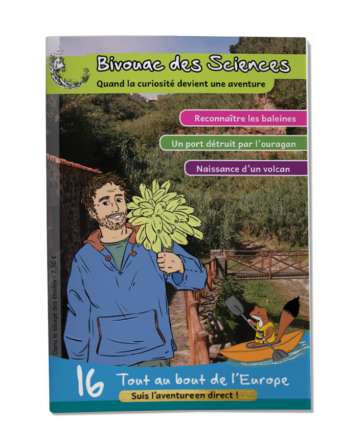 Découvrez nos magazines